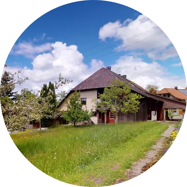 FEED Profil Eriswil Be